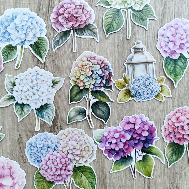 Hydrangea Sticker Hydrangea Stickers 24PCS – ViVi Stationery