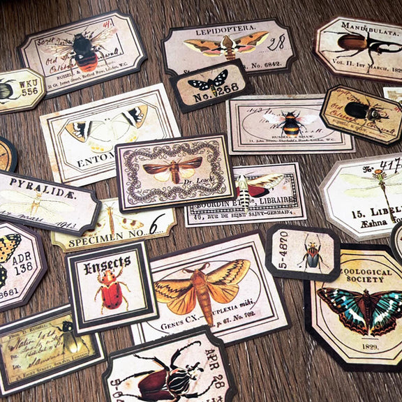 Insect Labels Sticker – ViVi Stationery