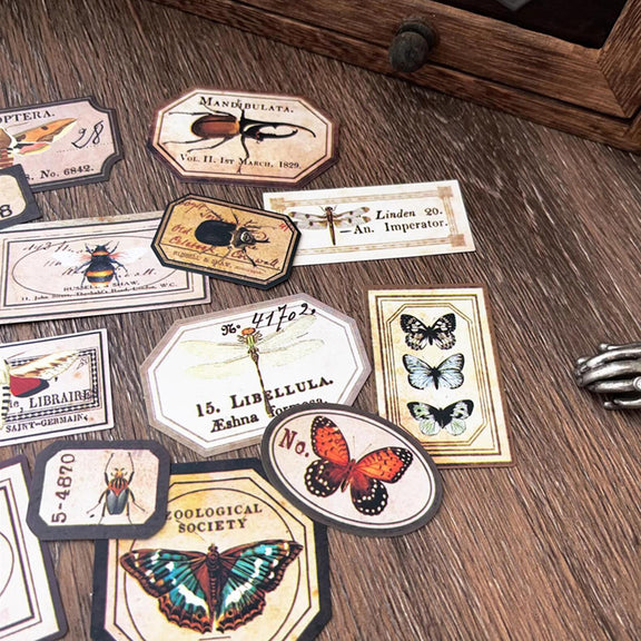 Insect Labels Sticker – ViVi Stationery