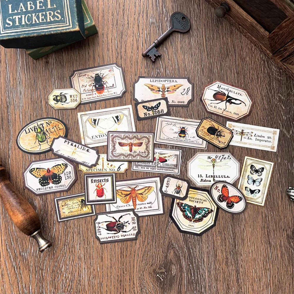 Insect Labels Sticker – ViVi Stationery