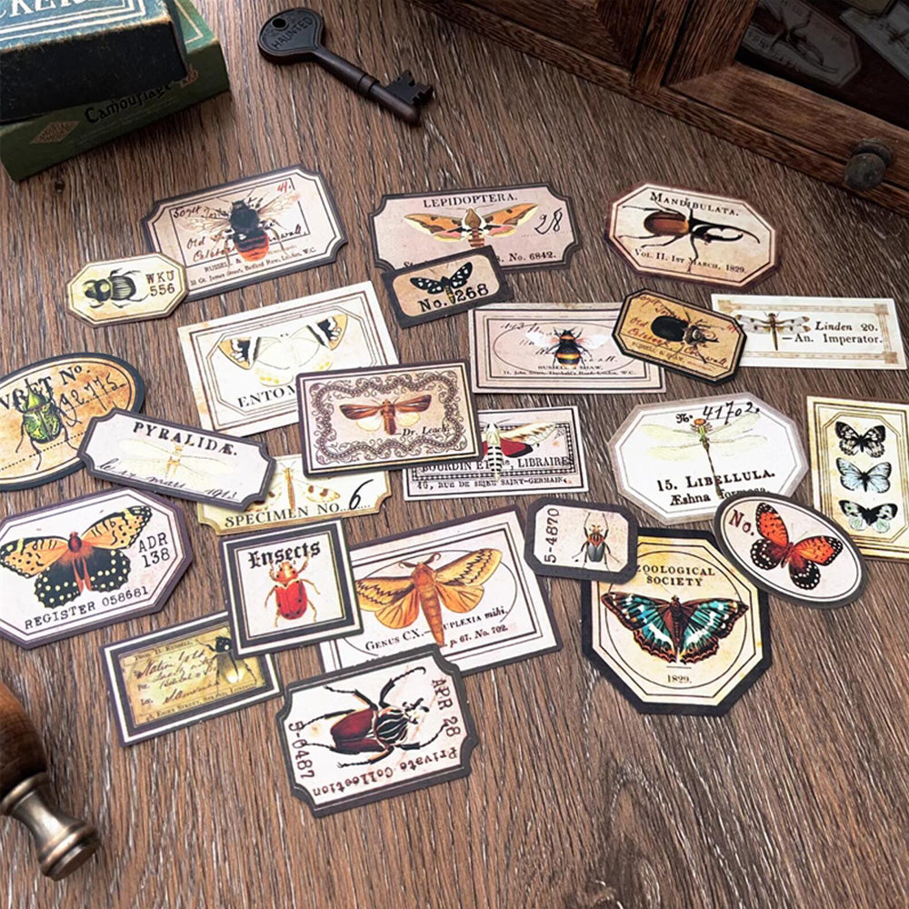 Insect Labels Sticker – ViVi Stationery