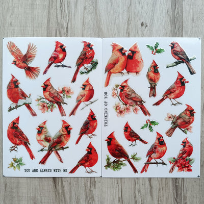 Red Cardinal Matte Transfer Sticker 2 Sheets