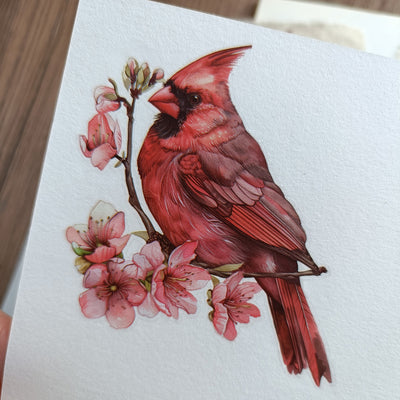 Red Cardinal Rub On Stickers 3 Sheets