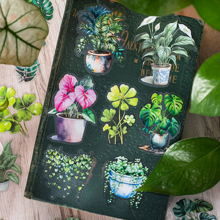 Tropical Rainforest Plant Stickers