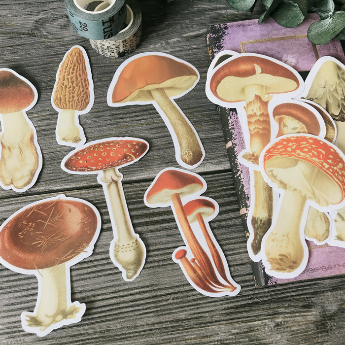 big mushroom stickers for scrapbooking