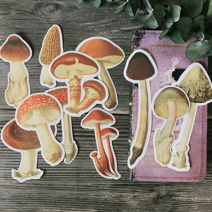 big-mushroom-stickers