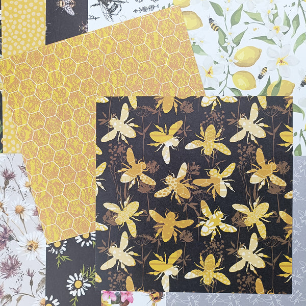 Bee Paper - 6 x 6 Single Sided Paper