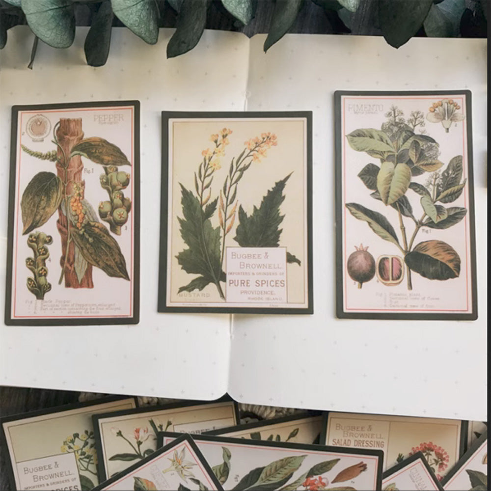 Vintage Plant Stickers for Junk Journal and Scrapbooking – ViVi Stationery