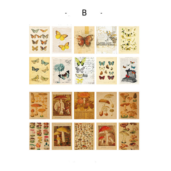 butterfly and mushroom theme scrapbook paper
