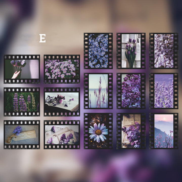 purple flowers with film frame stickers