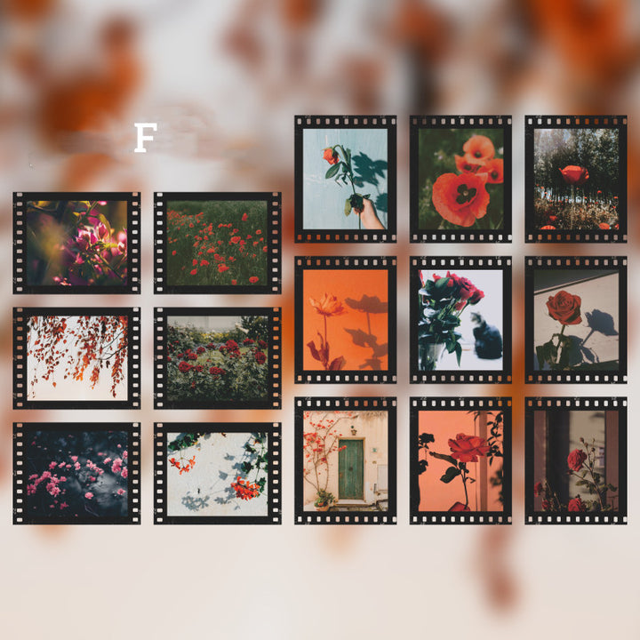 red flowers with film frame stickers