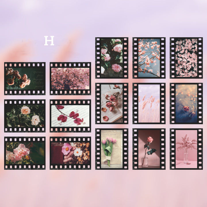 pink flower with film frame stickers