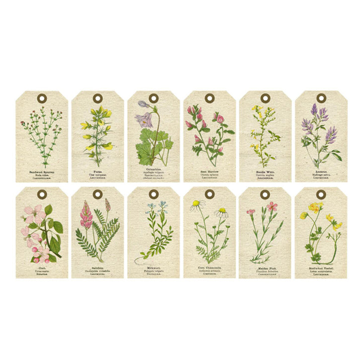 vintage botanical tags for junk journal