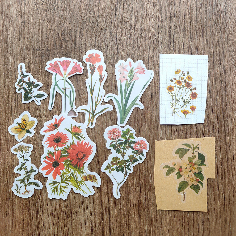 Vintage Botanical Vellum Flower Stickers for Scrapbooking Journal ...