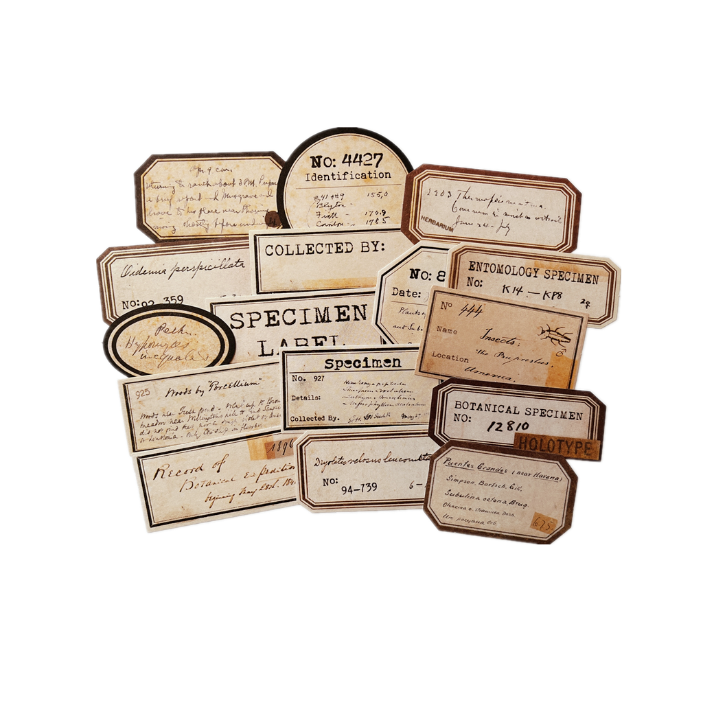 Custom Specimen Labels Vintage Plant Specimens Label Stickers for Scrapbooking and Junk ...