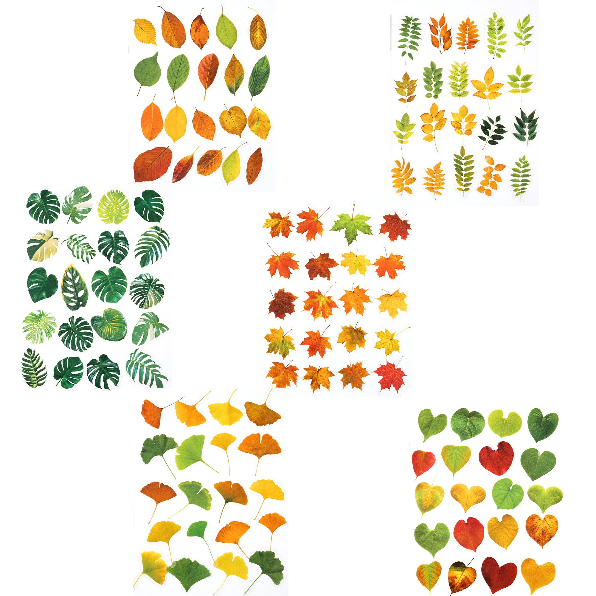 Nature Book Series Leaf Stickers 120PCS for Scrapbook and Junk Journal ...