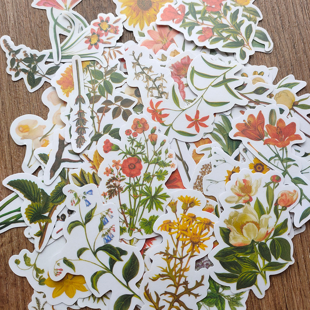 Vintage Botanical Vellum Flower Stickers for Scrapbooking Journal ...