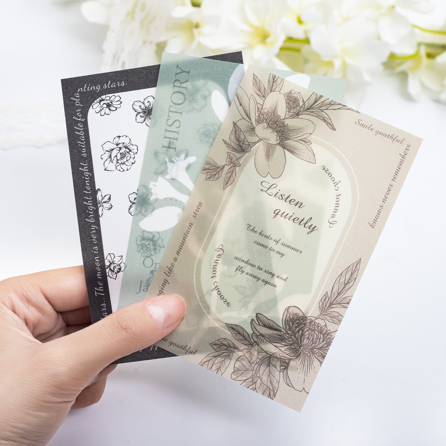 Botanical Vellum Sticker for Scrapbooking and Art Journal – ViVi Stationery