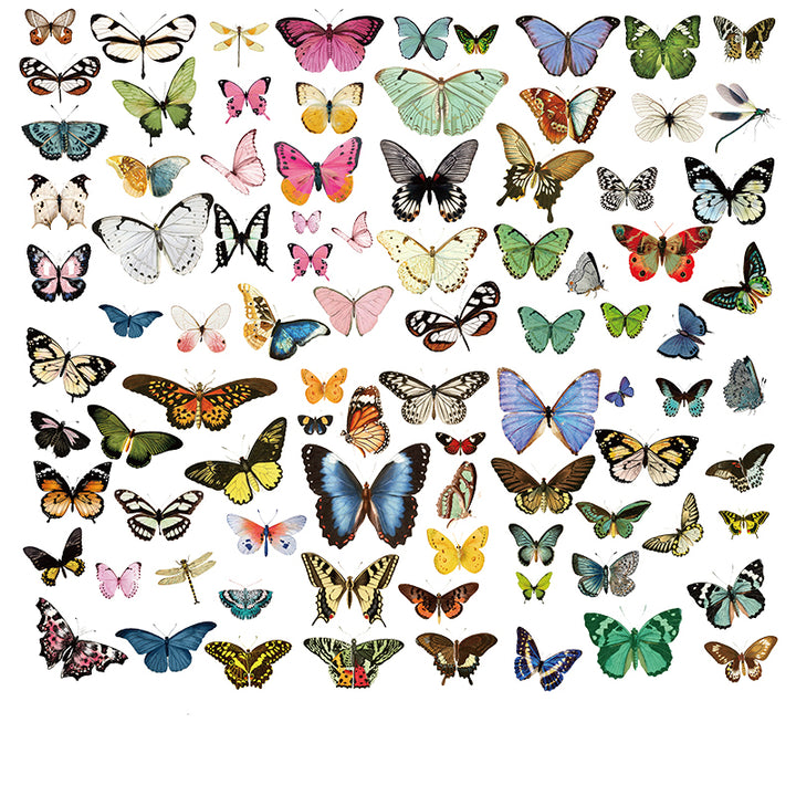 sticker of butterfly