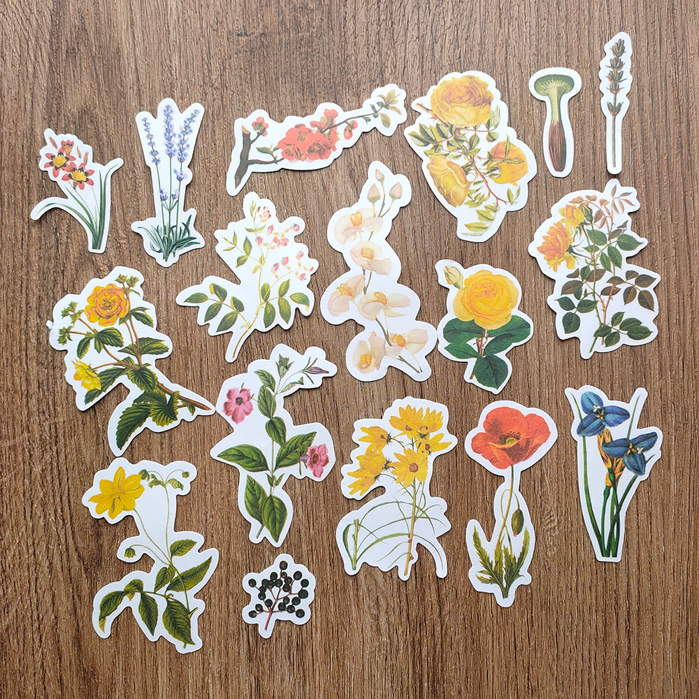 botanical stickers Greeting Card for Sale by foIkIore