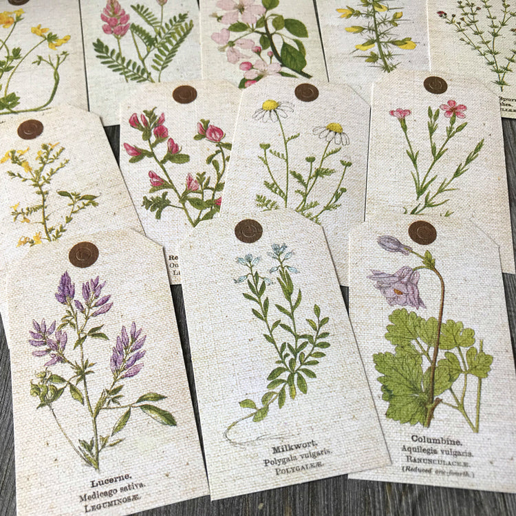 Vintage Plant Tag for Scrapbooking and Junk Journal – ViVi Stationery